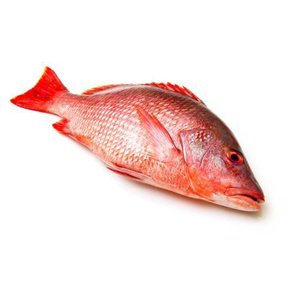 Ikan Merah